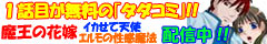 �P�b�ږ����^�_�R�~